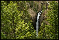 Tower Falls from above. Yellowstone National Park ( color)