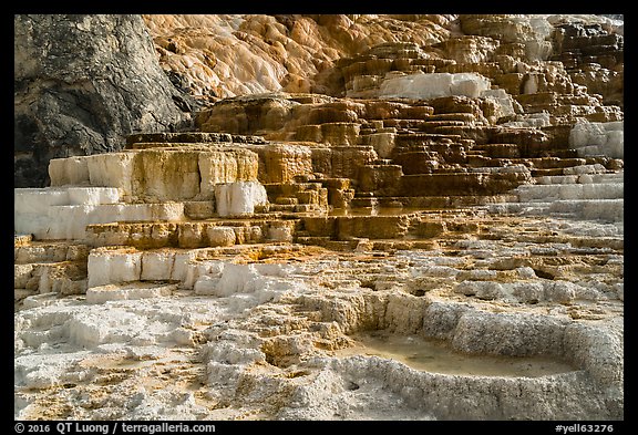 Palette Spring, Mammoth Hot Springs. Yellowstone National Park (color)