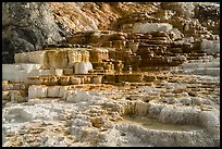 Palette Spring, Mammoth Hot Springs. Yellowstone National Park ( color)