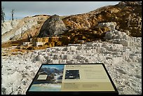 Living Color interpretive sign, Mammoth Hot Springs. Yellowstone National Park, Wyoming, USA.