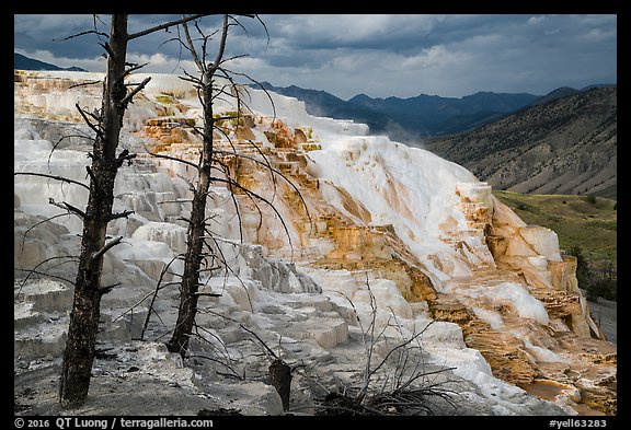 Canary Springs, afternoon. Yellowstone National Park (color)