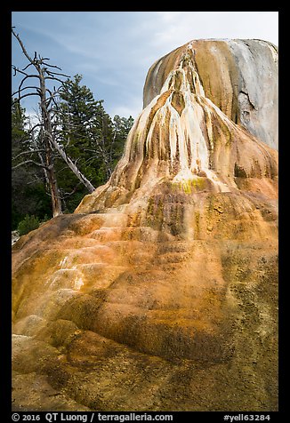 Orange Spring Mound, Mammoth Hot Springs. Yellowstone National Park (color)