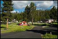 Bridge Bay Campground. Yellowstone National Park, Wyoming, USA.