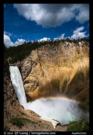 Lower Falls of the Yellowstone River from Uncle Tom Trail. Yellowstone National Park (color)