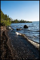 Lewis Lake Shore with black send. Yellowstone National Park ( color)