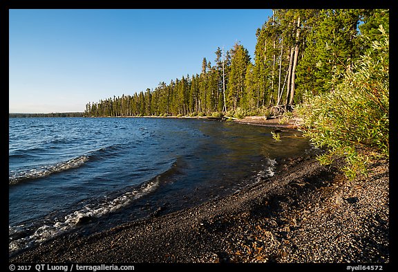 Lewis Lake and surf. Yellowstone National Park, Wyoming, USA.