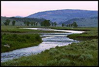 Soda Butte Creek, Lamar Valley, dawn. Yellowstone National Park, Wyoming, USA.