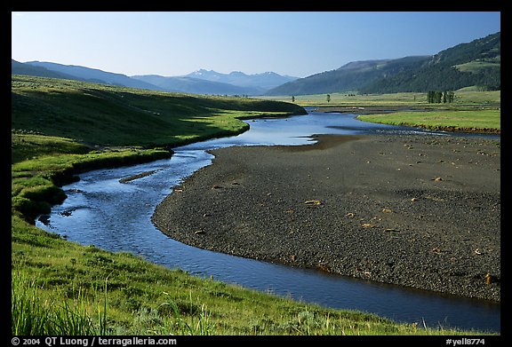 Lamar River, Lamar Valley, early morning. Yellowstone National Park (color)