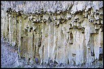 Basalt columns. Yellowstone National Park, Wyoming, USA.