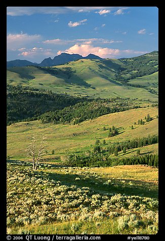 Hills from Specimen ridge, late afternoon. Yellowstone National Park, Wyoming, USA.