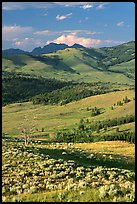 Hills from Specimen ridge, late afternoon. Yellowstone National Park ( color)