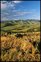 Rocks, grasses, and hills, Specimen ridge, late afternoon. Yellowstone National Park, Wyoming, USA.