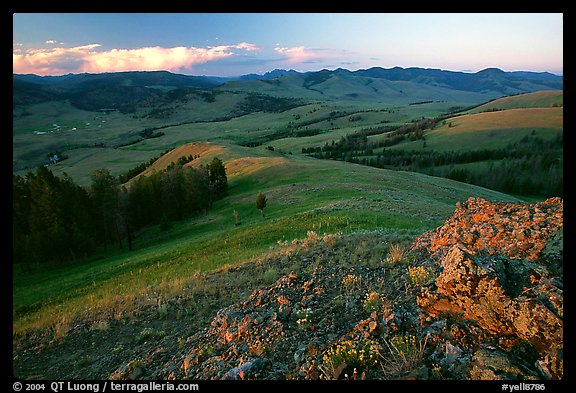 Rocks and flowers on Specimen ridge, sunset. Yellowstone National Park, Wyoming, USA.