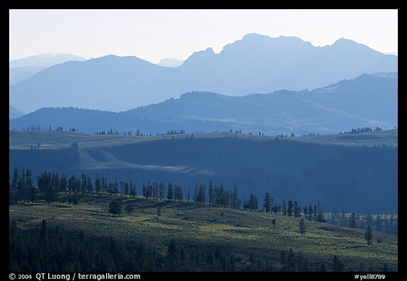 Backlit ridges of Absaroka Range from Dunraven Pass, early morning. Yellowstone National Park, Wyoming, USA.