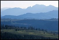 Backlit ridges of Absaroka Range from Dunraven Pass, early morning. Yellowstone National Park, Wyoming, USA.