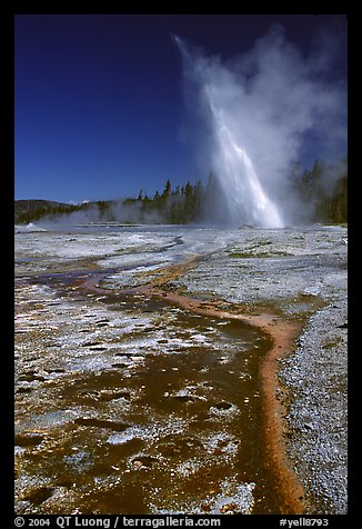 Daisy Geyser erupting at an angle. Yellowstone National Park, Wyoming, USA.