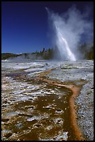 Daisy Geyser erupting at an angle. Yellowstone National Park, Wyoming, USA.