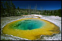 Morning Glory Pool, midday. Yellowstone National Park, Wyoming, USA.