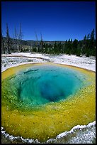 Bright colors of morning Glory Pool. Yellowstone National Park, Wyoming, USA.