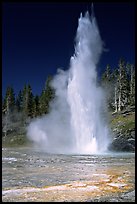 Grand Geyser,  tallest of the regularly erupting geysers in the Park. Yellowstone National Park ( color)