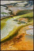 Detail of colorful algaes, Biscuit Basin. Yellowstone National Park, Wyoming, USA. (color)