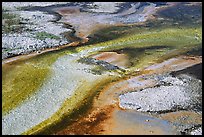 Colorful algaes patterns, Biscuit Basin. Yellowstone National Park, Wyoming, USA.