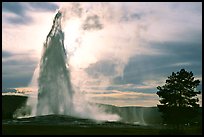 Pictures of Yellowstone NP