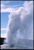 Old Faithful Geyser erupting, afternoon. Yellowstone National Park, Wyoming, USA. (color)
