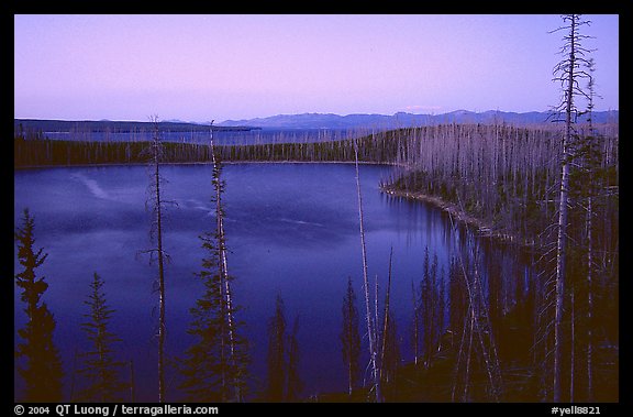 West Thumb at dusk. Yellowstone National Park, Wyoming, USA.