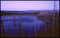 West Thumb at dusk. Yellowstone National Park, Wyoming, USA.