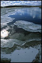 Frost along the Firehole River. Yellowstone National Park, Wyoming, USA. (color)