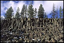 Basalt columns. Yellowstone National Park, Wyoming, USA. (color)