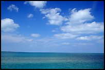 Sky and Elkhorn coral reef. Biscayne National Park, Florida, USA.