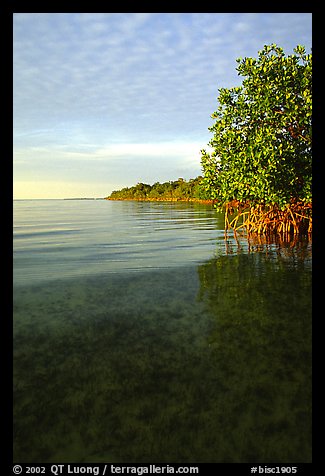 Elliott Key shore on Biscayne Bay, sunset. Biscayne National Park (color)