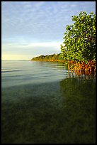 Elliott Key shore on Biscayne Bay, sunset. Biscayne National Park, Florida, USA.