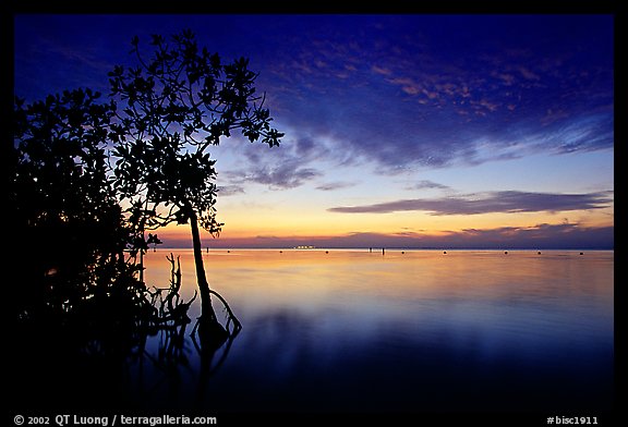 Sunset on Biscaye Bay from Elliott Key. Biscayne National Park, Florida, USA.