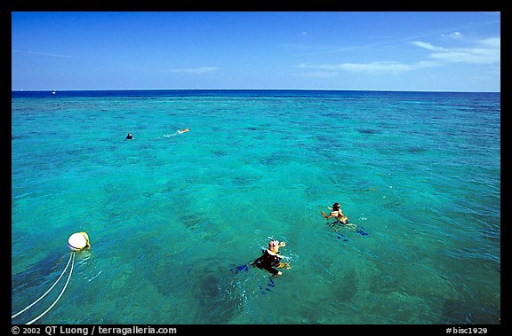Snorklers. Biscayne National Park (color)