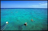 Snorklers. Biscayne National Park, Florida, USA. (color)