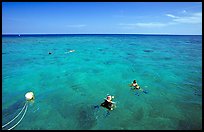 Snorklers. Biscayne National Park, Florida, USA.