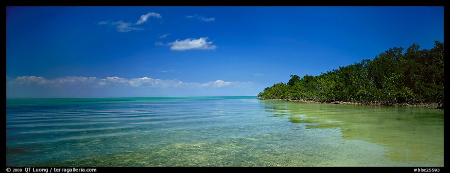 Mangrove shoreline on Florida Bay. Biscayne National Park (color)