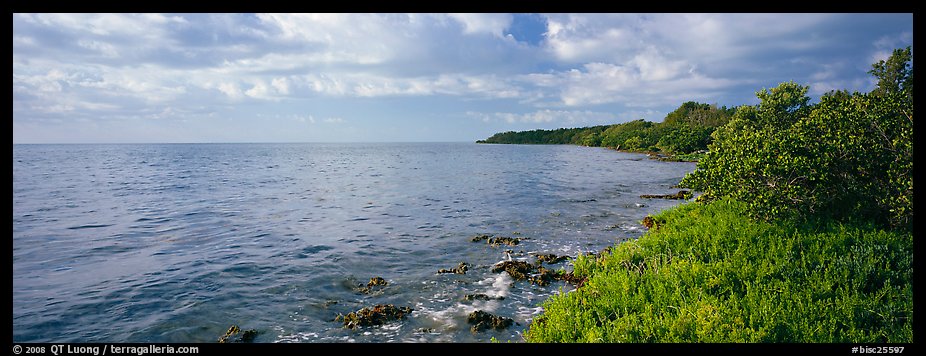 Island Altantic shoreline. Biscayne National Park (color)