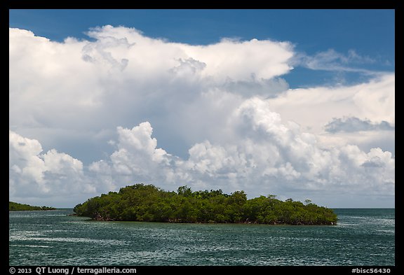 Mangrove islet in Caesar Creek and Atlantic Ocean. Biscayne National Park, Florida, USA.