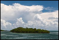 Mangrove islet in Caesar Creek and Atlantic Ocean. Biscayne National Park, Florida, USA. (color)