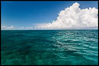 Reef and clouds. Biscayne National Park ( color)