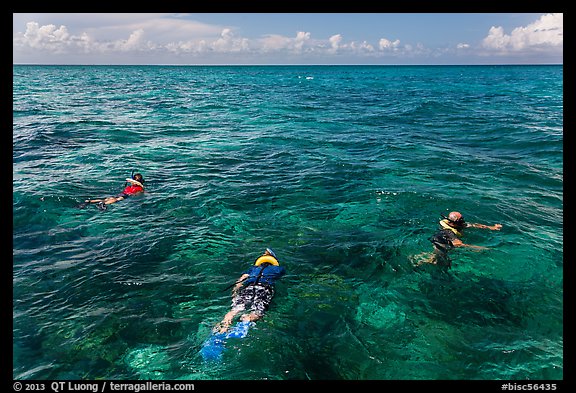 Snorklers and reef. Biscayne National Park, Florida, USA.