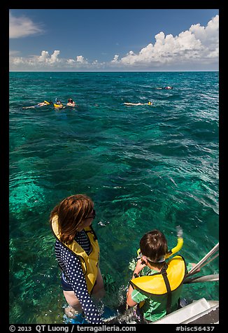 Snorkelers entering water. Biscayne National Park, Florida, USA.