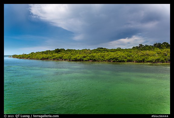 Adams Key, afternoon. Biscayne National Park (color)