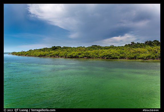 Adams Key, afternoon. Biscayne National Park, Florida, USA.