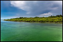 Adams Key, afternoon. Biscayne National Park, Florida, USA. (color)