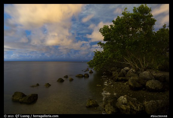 Biscayne Bay shoreline at night, Convoy Point. Biscayne National Park, Florida, USA.